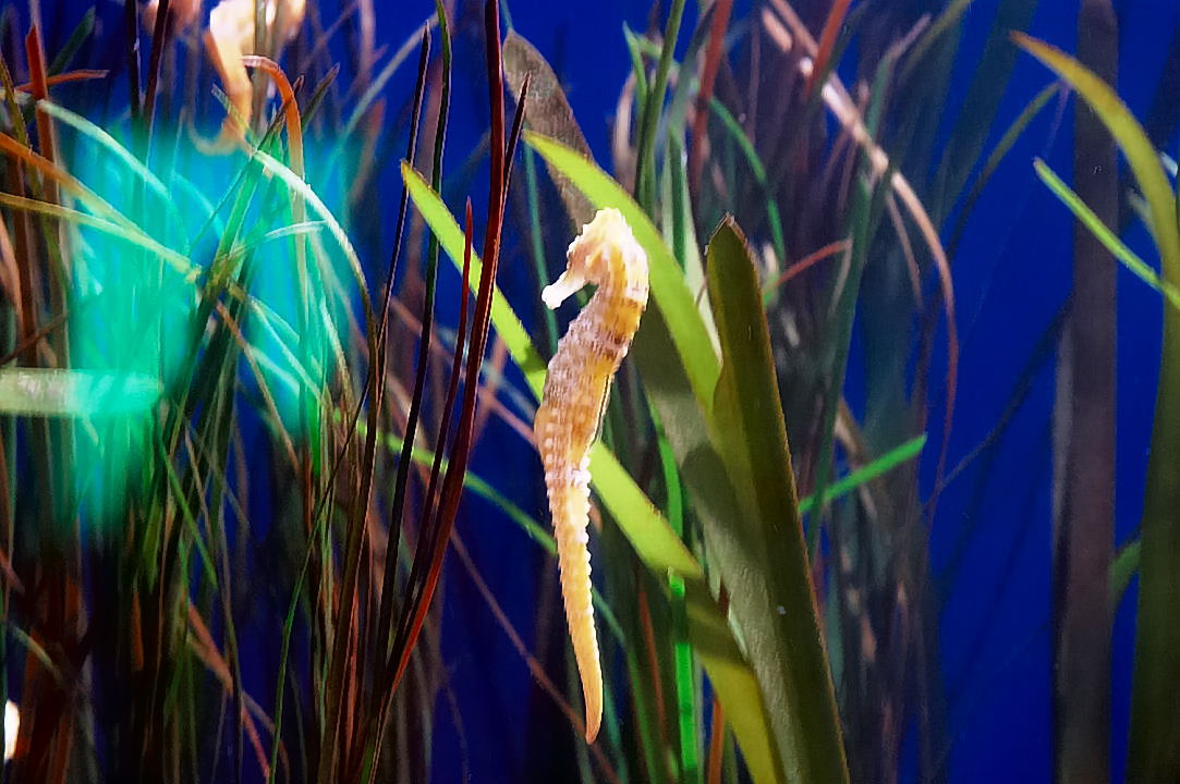 Foto de Valencia (València), España