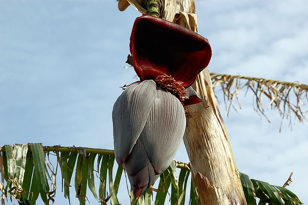 Foto de Valencia (València), España