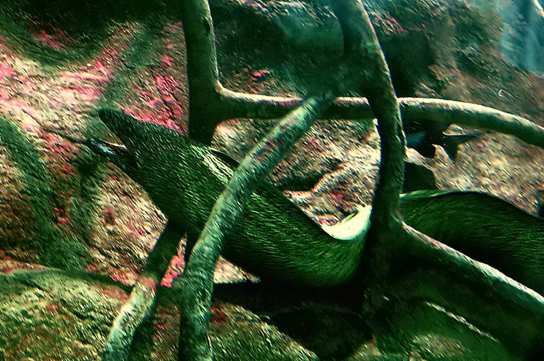 Foto de Valencia (València), España