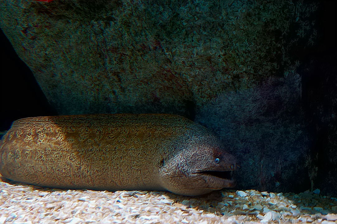 Foto de Valencia (València), España