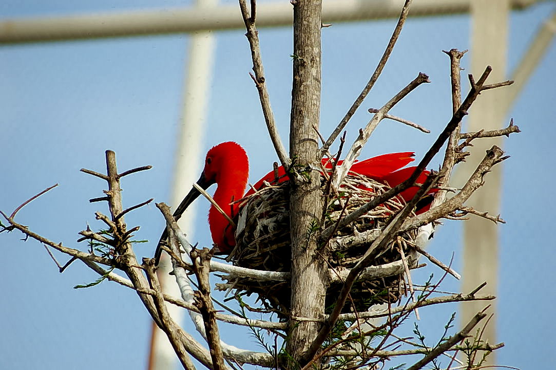 Foto de Valencia (València), España