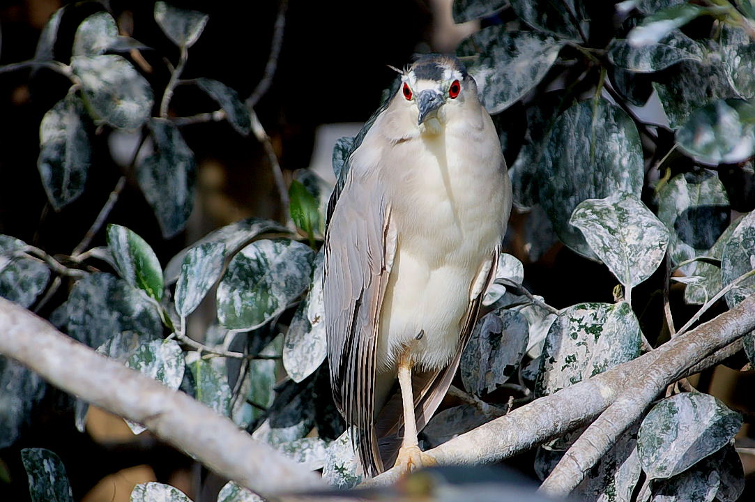 Foto de Valencia (València), España