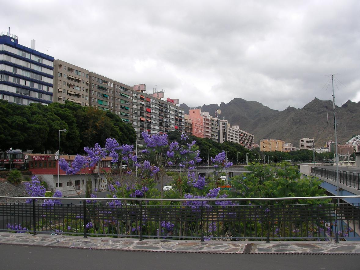 Foto de Santa Cruz de Tenerife (Canarias), España