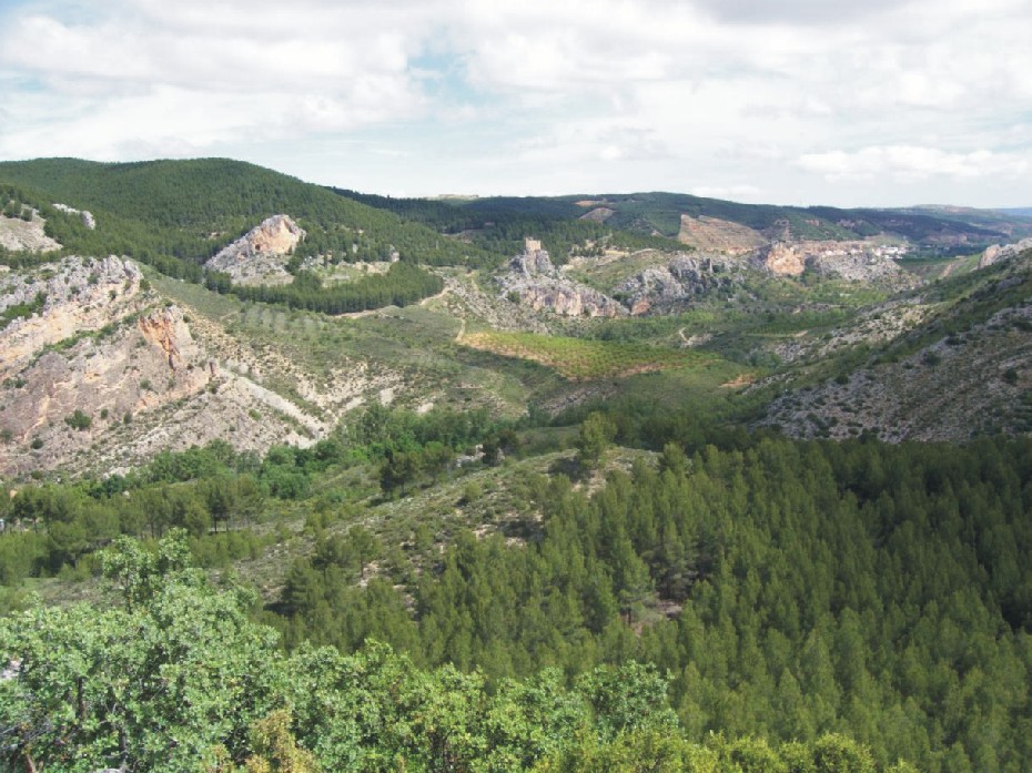 Foto de Tosos (Zaragoza), España