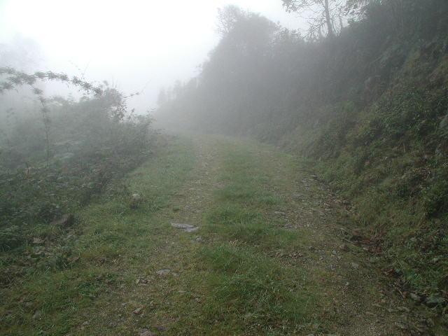 Foto de Queniquea, Venezuela