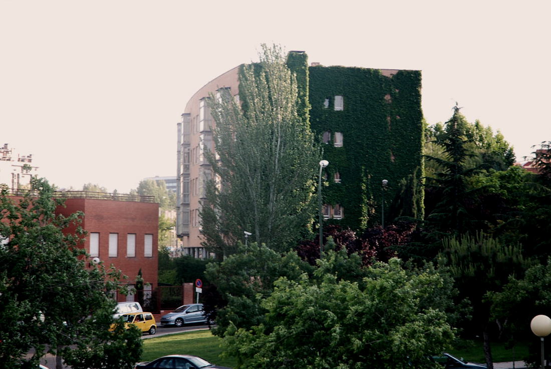 Foto de Madrid (Comunidad de Madrid), España