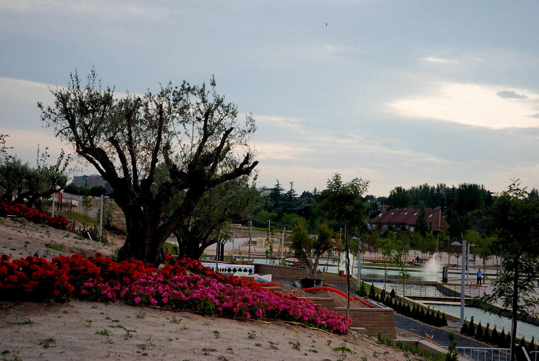 Foto de Madrid (Comunidad de Madrid), España