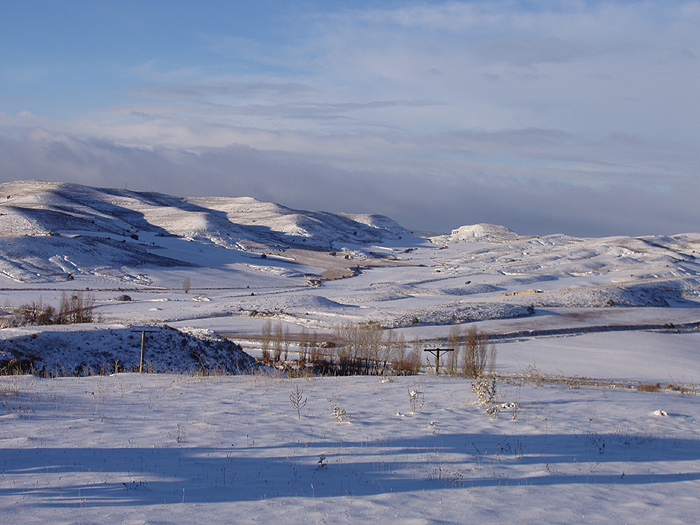 Foto de Alcozar (Soria), España