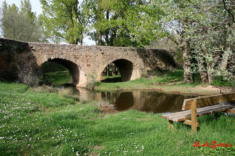Foto de Noviercas (Soria), España