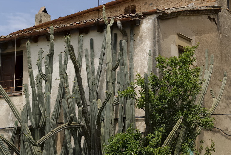 Foto de Sabadell (Barcelona), España