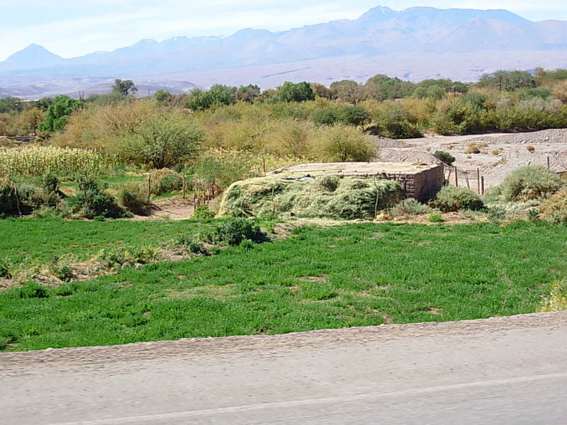 Foto de San Pedro de Atacama, Chile