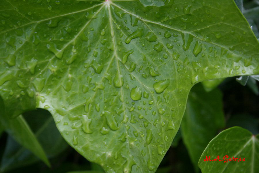 Foto de Ólvega (Soria), España
