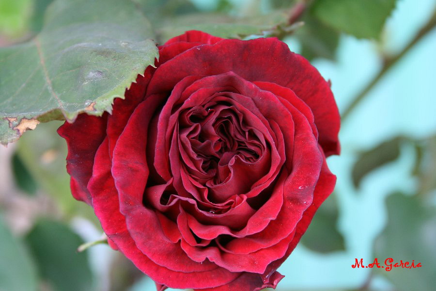 Foto de Ólvega (Soria), España