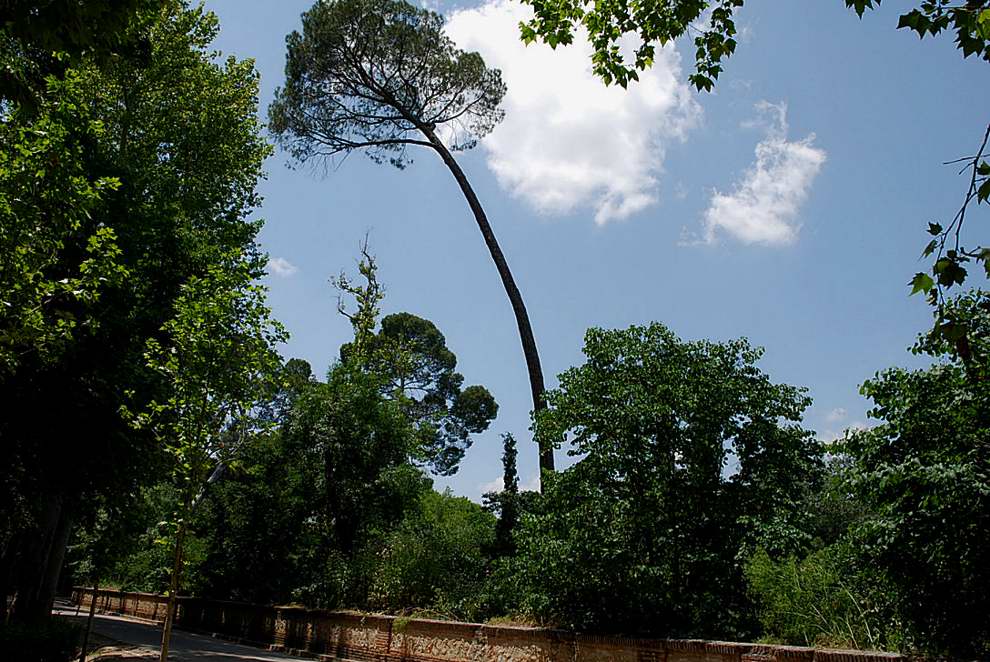 Foto de Aranjuez (Madrid), España