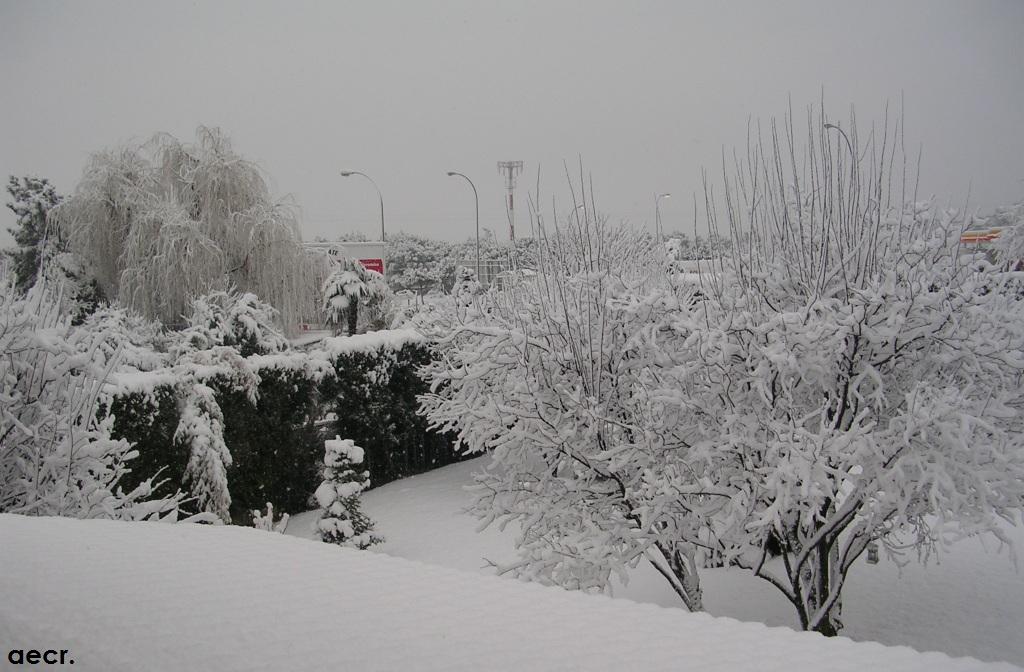 Foto de Pozuelo de Alarcón (Madrid), España