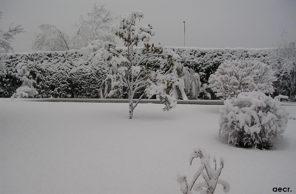 Foto de Pozuelo de Alarcón (Madrid), España