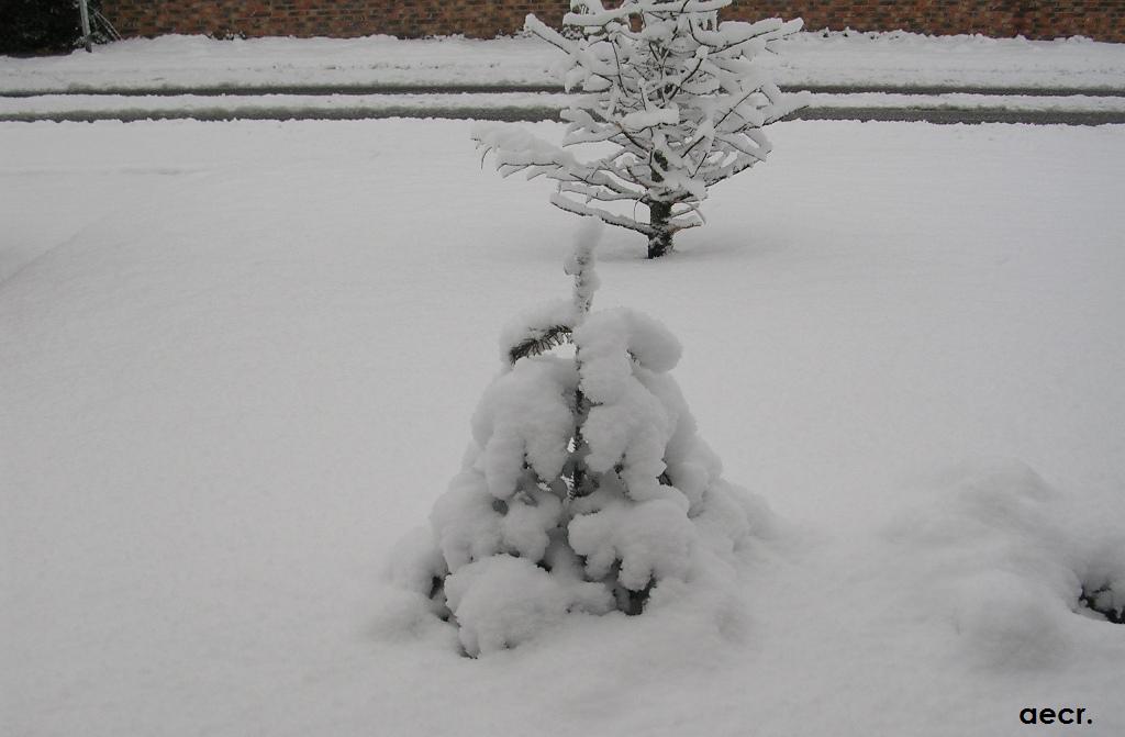 Foto de Pozuelo de Alarcón (Madrid), España