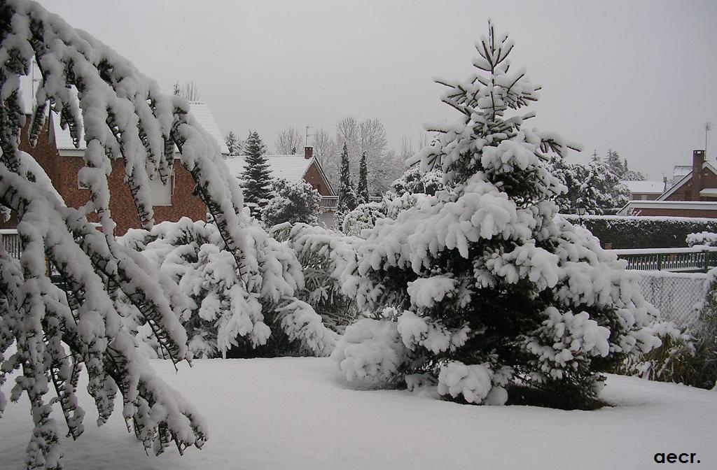 Foto de Pozuelo de Alarcón (Madrid), España