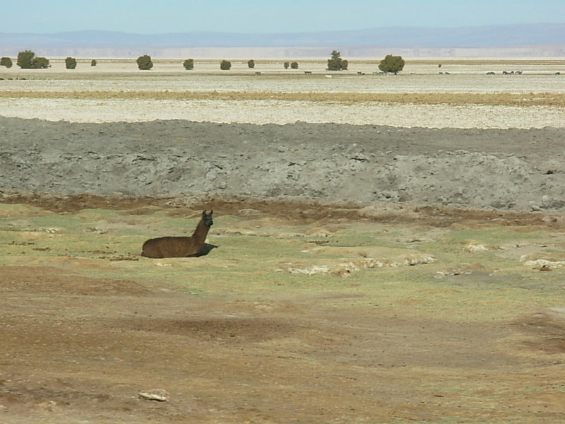 Foto de San Pedro de Atacana, Chile