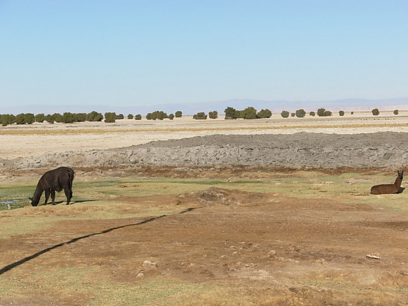 Foto de San Pedro de Atacana, Chile