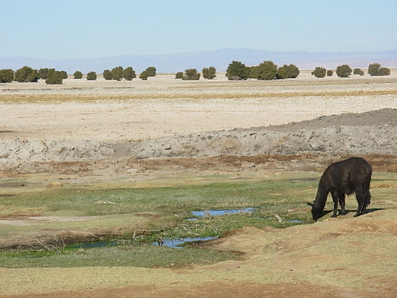 Foto de San Pedro de Atacana, Chile