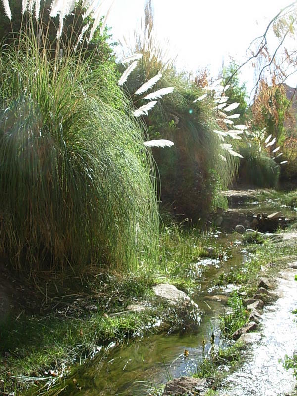 Foto de San Pedro de Atacana, Chile