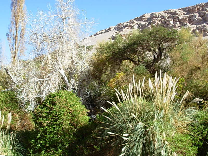 Foto de San Pedro de Atacana, Chile