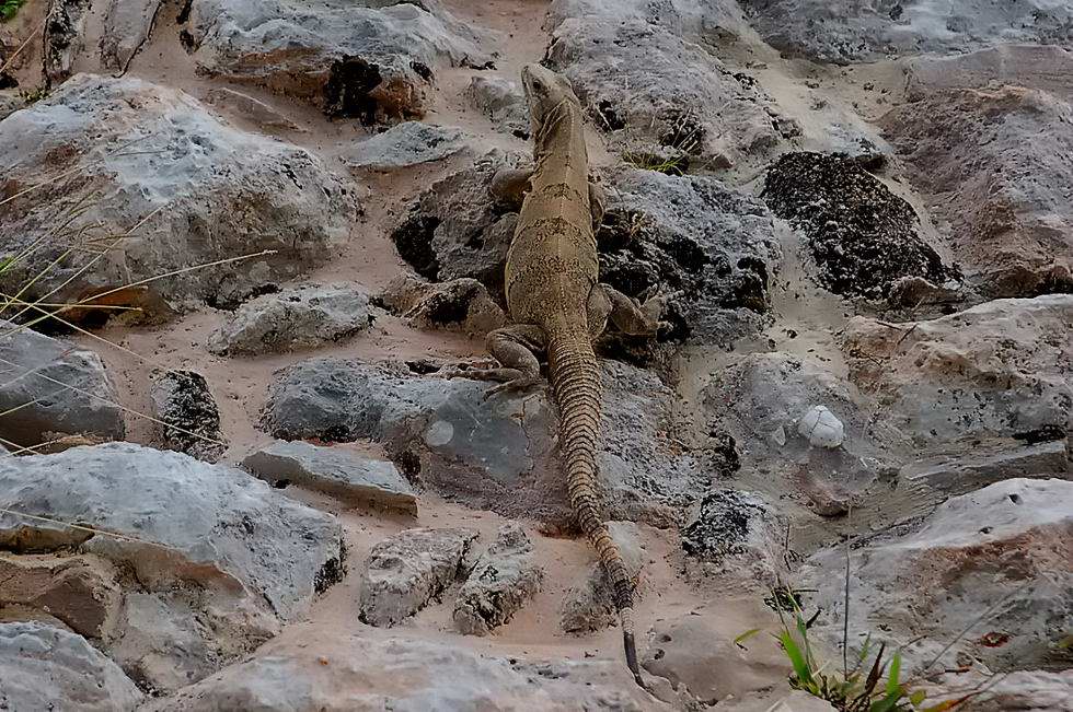Foto de Uxmal, México