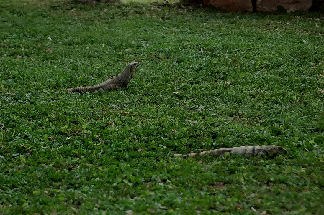 Foto de Uxmal, México