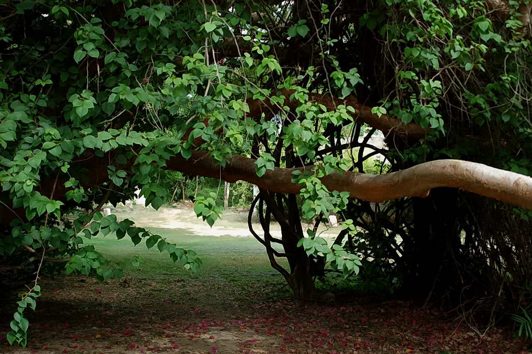 Foto de Uxmal, México