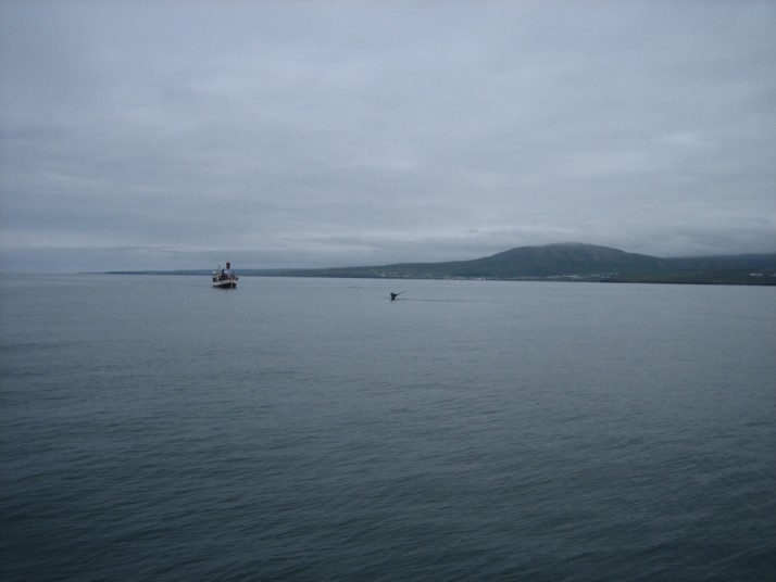 Foto de Húsavík, Islandia