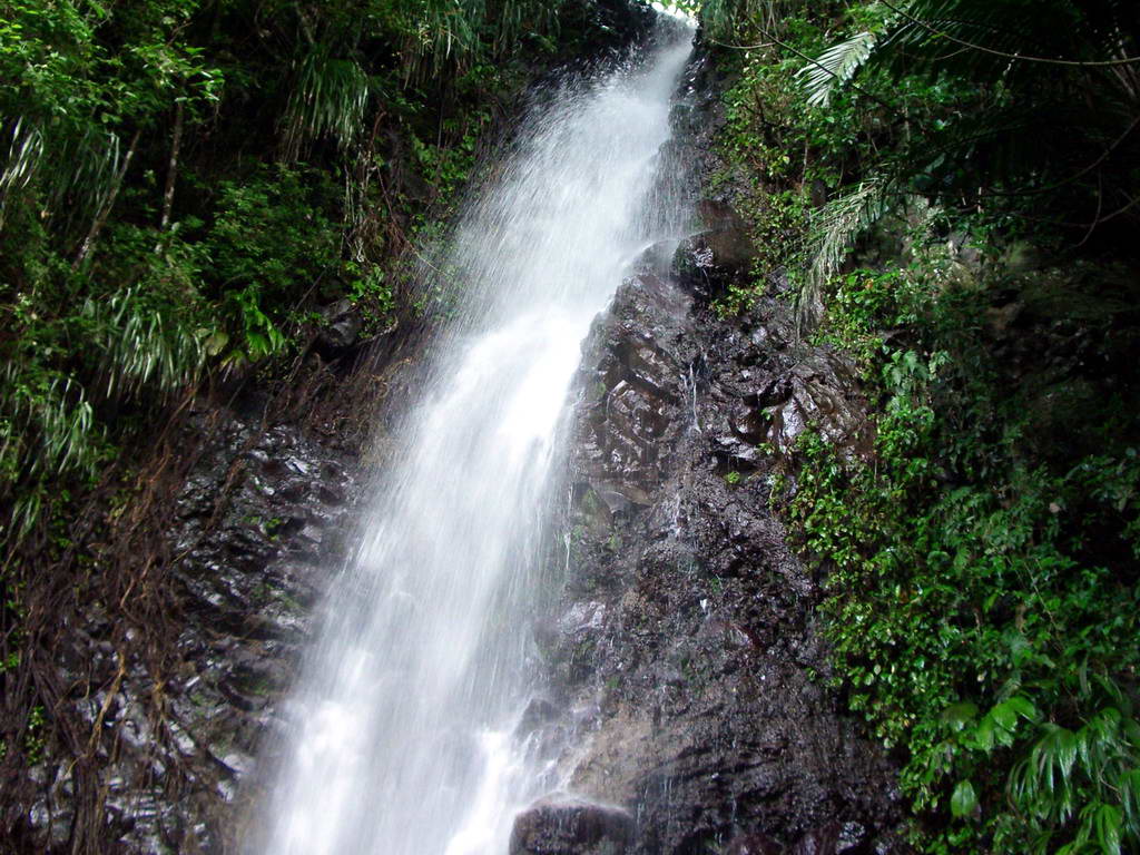Foto de Isla San Vicente, San Vicente y Granadinas