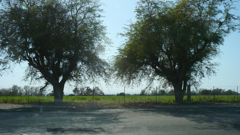 Foto de La Paz, México