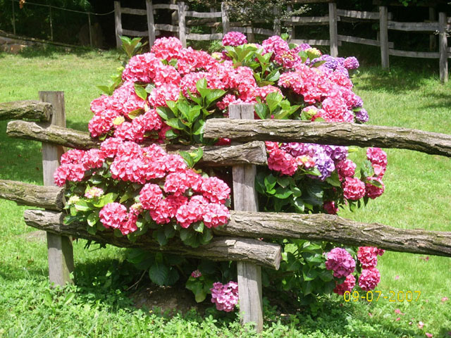 Foto de Urdax - Urdazubi (Navarra), España