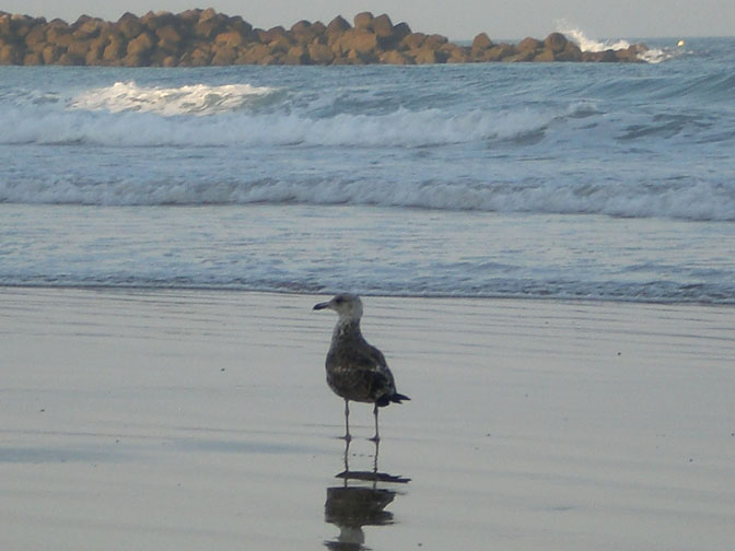 Foto de Cádiz (Andalucía), España