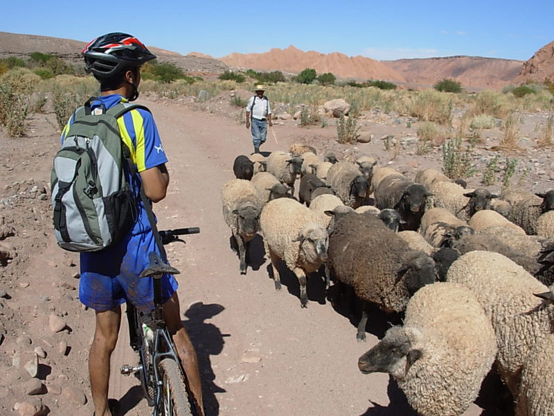 Foto de San Pedro de Atacama, Chile