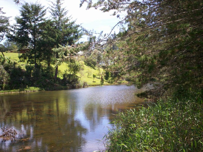 Foto de Carmen de Viboral, Antioquia, Colombia
