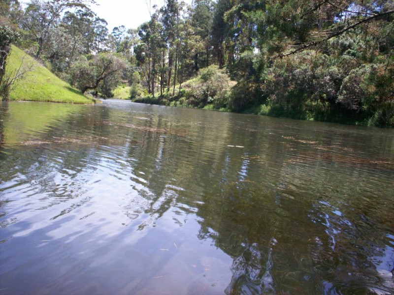 Foto de Carmen de Viboral, Antioquia, Colombia
