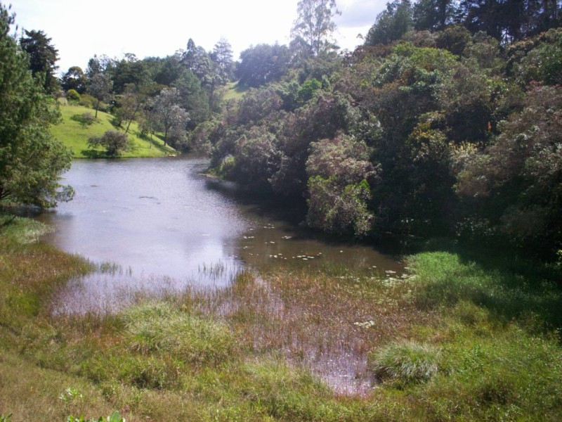 Foto de Carmen de Viboral, Antioquia, Colombia