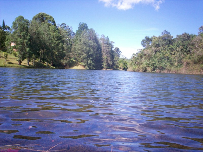Foto de Carmen de Viboral, Antioquia, Colombia