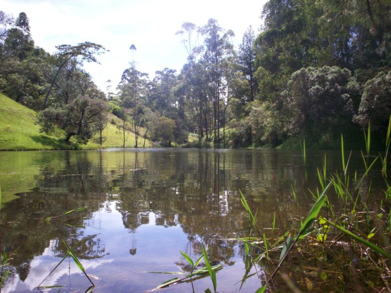 Foto de Carmen de Viboral, Antioquia, Colombia