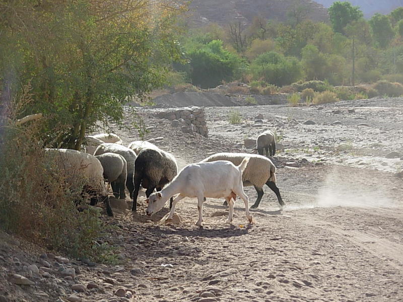 Foto de San Pedro de Atacama, Chile