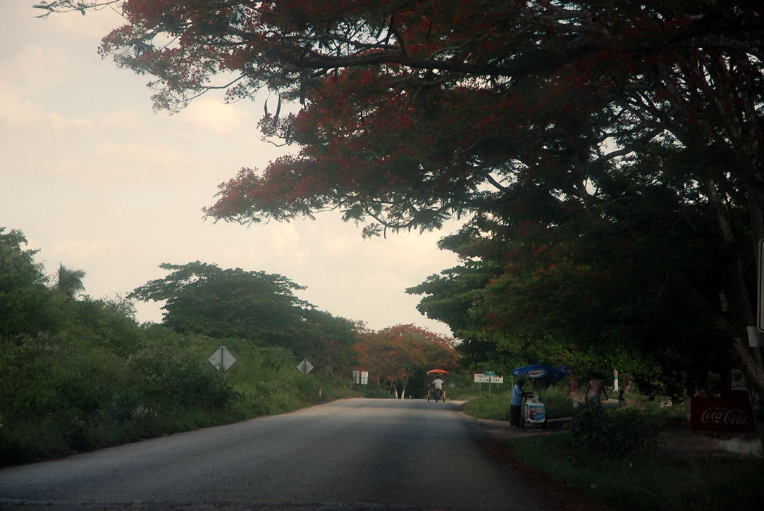 Foto de Merida, México