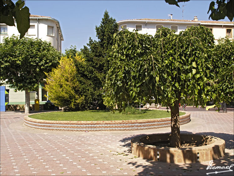 Foto de Ariza (Zaragoza), España