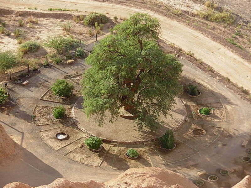 Foto de San Pedro de Atacama, Chile