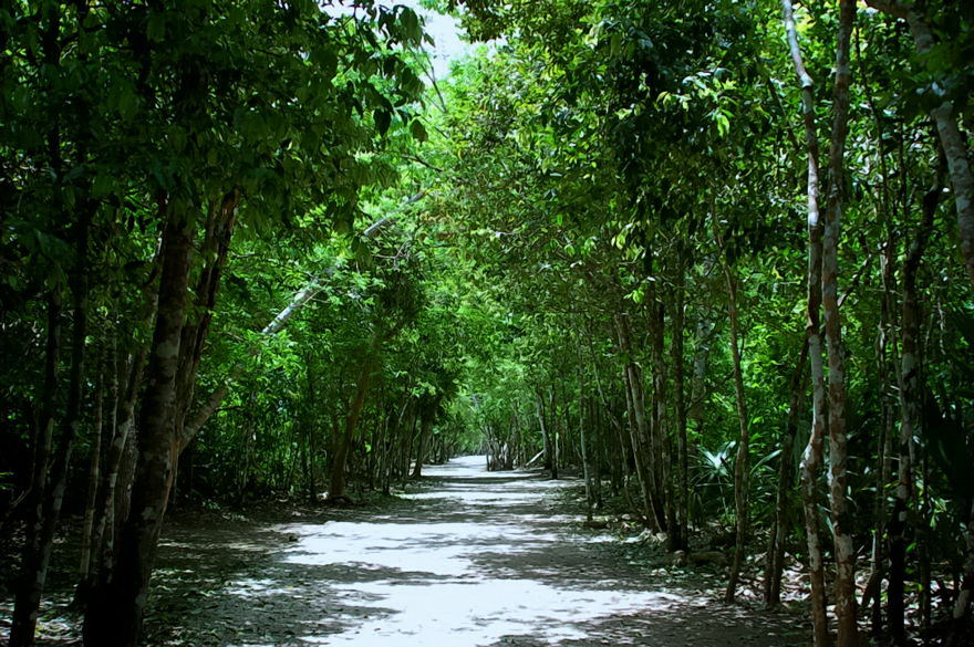 Foto de Coba, México