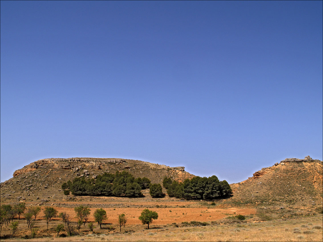 Foto de Ariza (Zaragoza), España