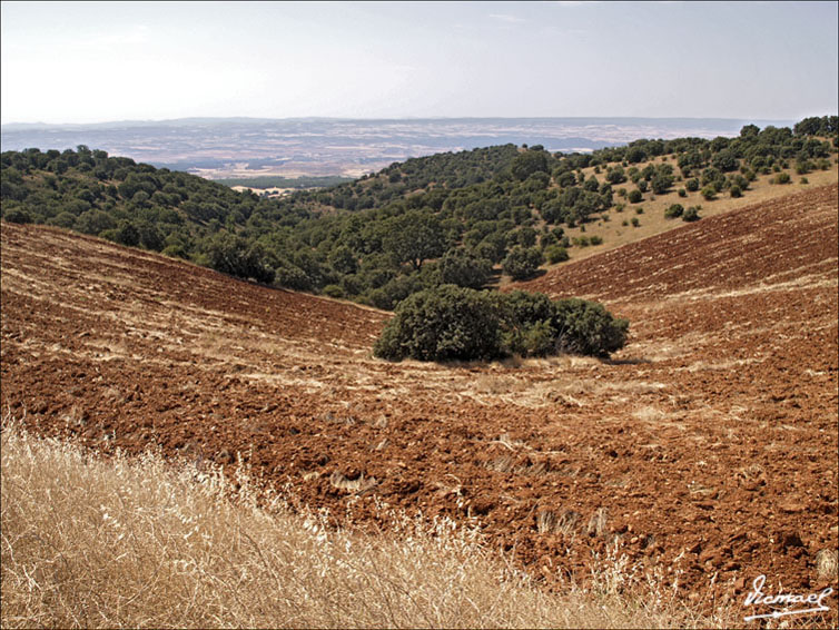 Foto de Ariza (Zaragoza), España