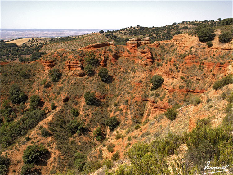 Foto de Ariza (Zaragoza), España