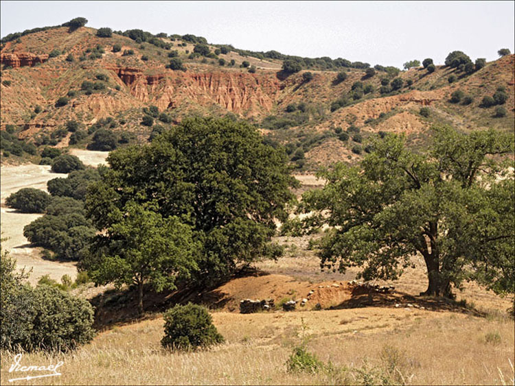 Foto de Ariza (Zaragoza), España